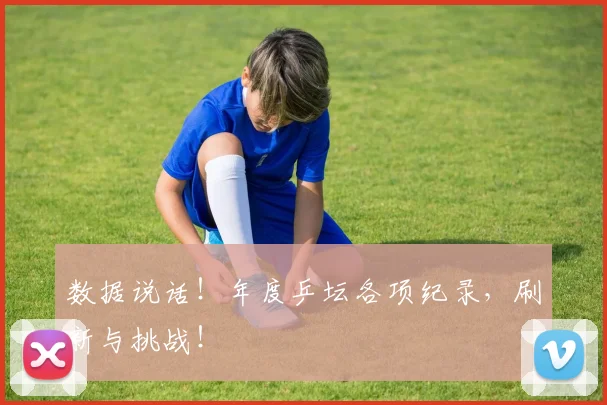 数据说话！年度乒坛各项纪录，刷新与挑战！