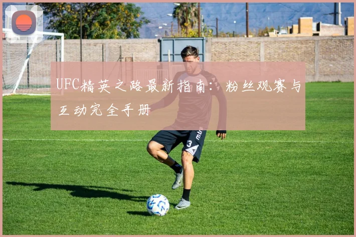 UFC精英之路最新指南：粉丝观赛与互动完全手册