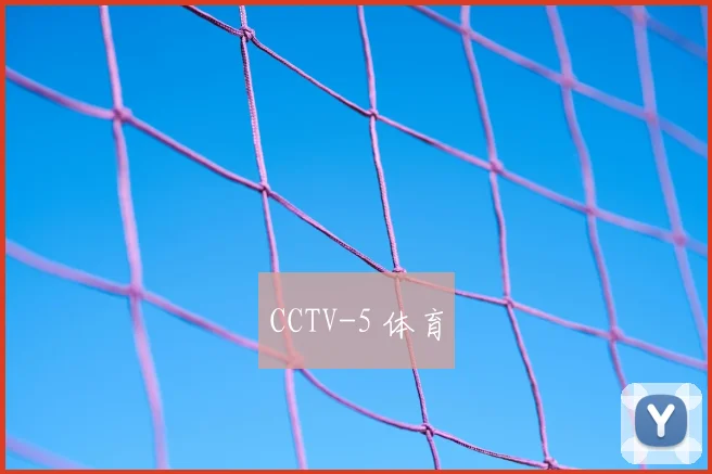 CCTV-5 体育