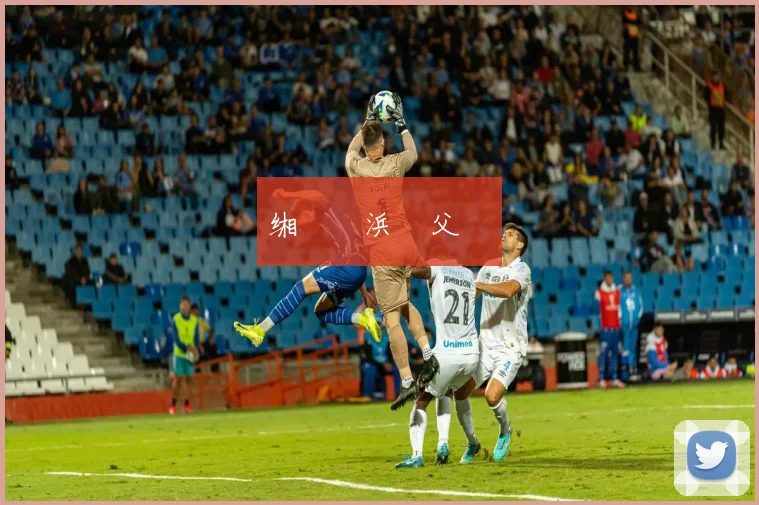 缃戞槗浜戞父鎴�