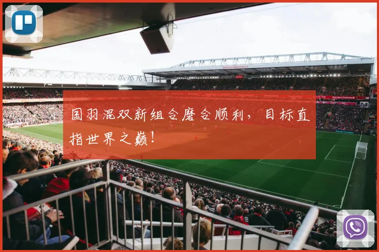 国羽混双新组合磨合顺利，目标直指世界之巅！