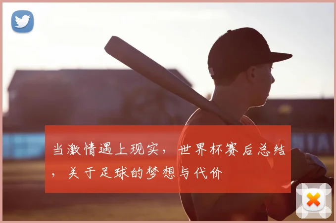 当激情遇上现实，世界杯赛后总结，关于足球的梦想与代价