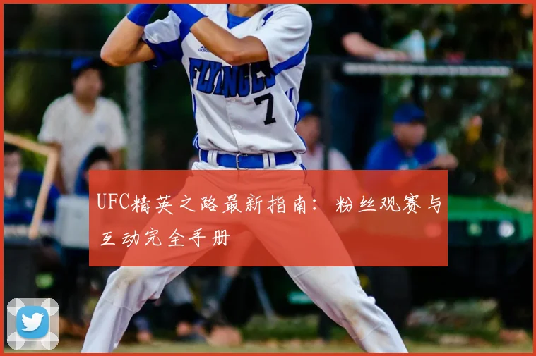 UFC精英之路最新指南：粉丝观赛与互动完全手册