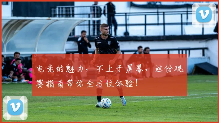 电竞的魅力，不止于屏幕，这份观赛指南带你全方位体验！