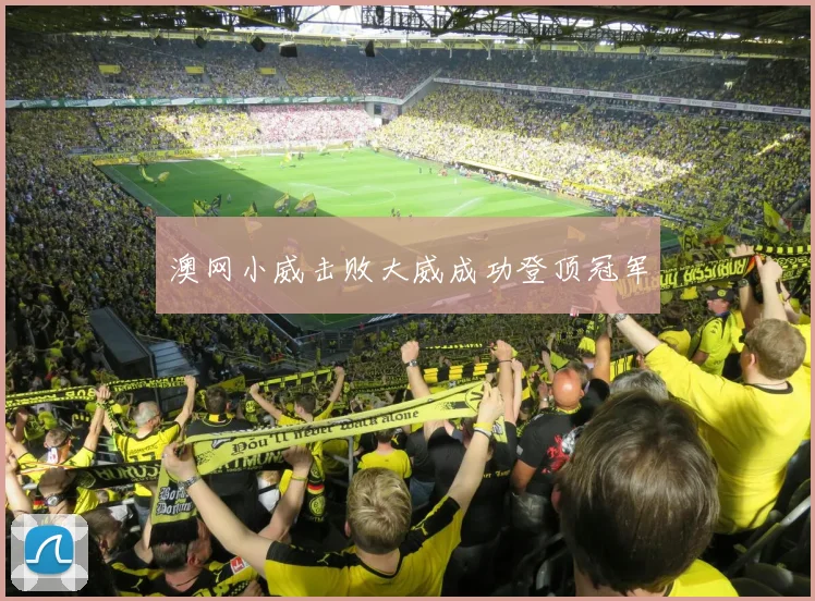 澳网小威击败大威成功登顶冠军