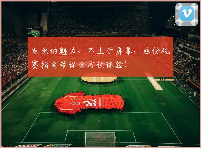 电竞的魅力，不止于屏幕，这份观赛指南带你全方位体验！