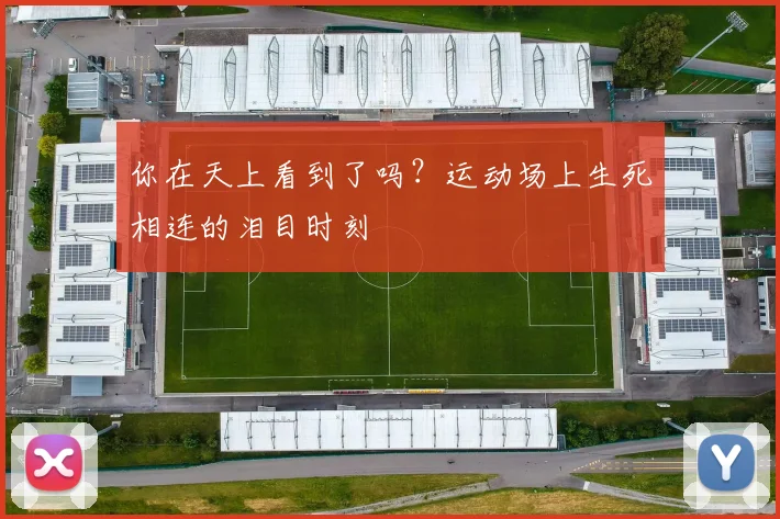 你在天上看到了吗？运动场上生死相连的泪目时刻