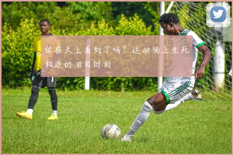 你在天上看到了吗？运动场上生死相连的泪目时刻